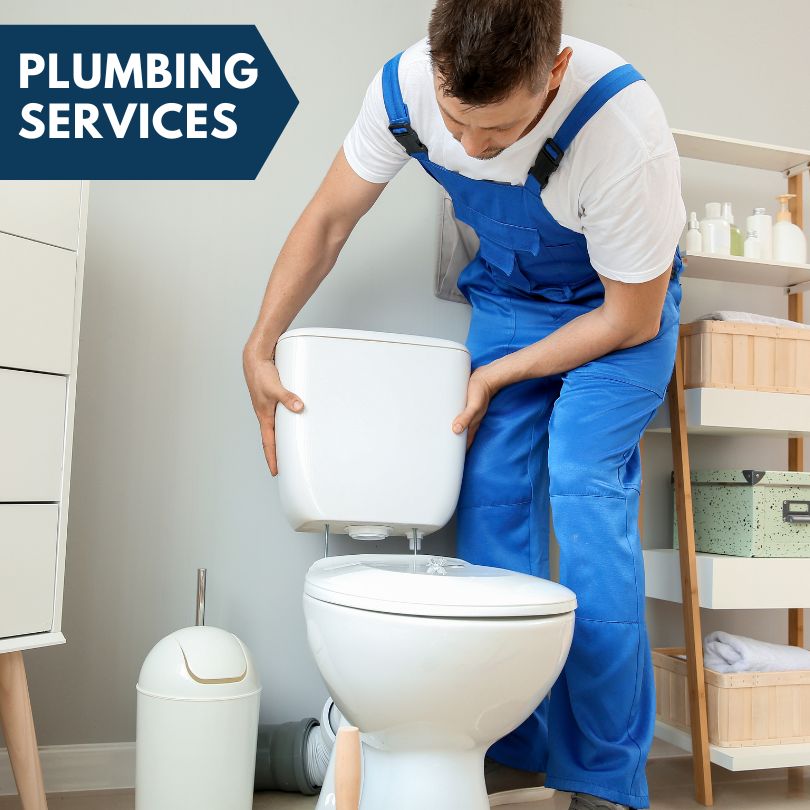 Plumbing Company in Webberville, MI
